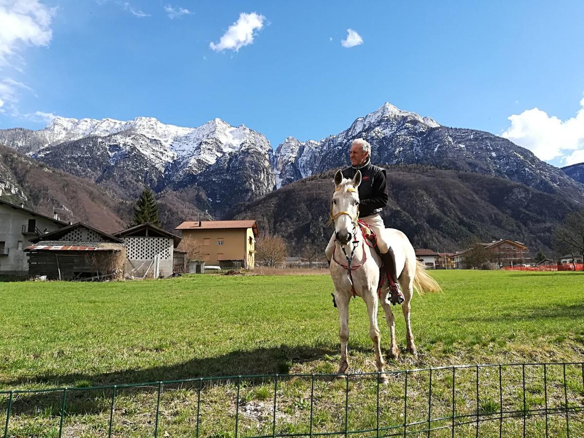 Agritur Airone Bed & Camping Levico Terme Eksteriør billede
